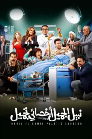 Nabil El Gamil Plastic Surgeon (2022)