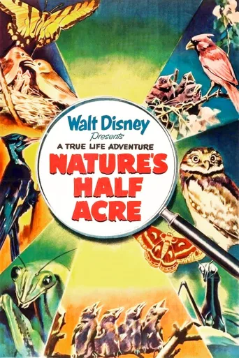 Nature's Half Acre (1951)