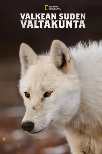 Valkean suden valtakunta (2019)