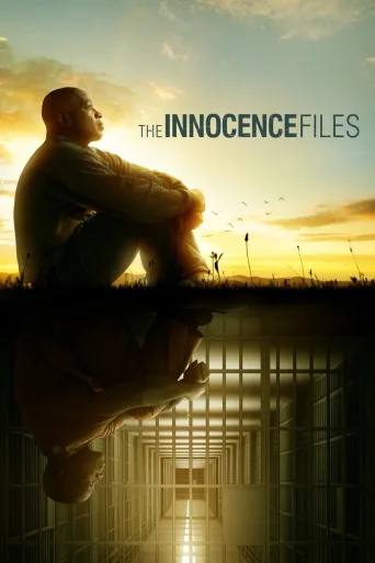 Innocence Project: Syyttömien puolesta (2020)