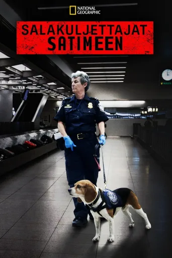 Salakuljettajat satimeen (2020)