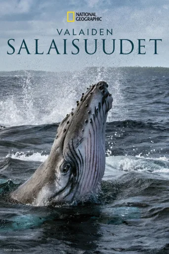 Valaiden salaisuudet (2021)