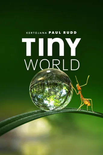 Tiny World (2020)