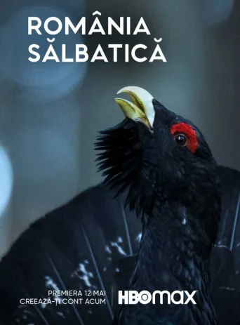 Wild Romania (2022)