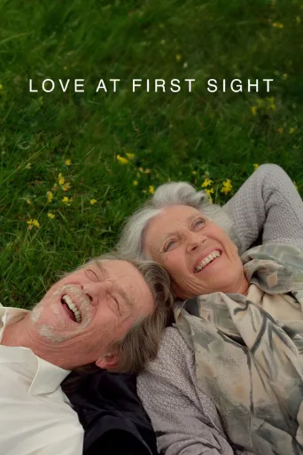 Love at First Sight (2010)