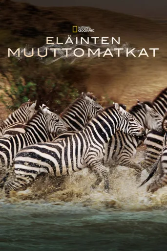 Eläinten muuttomatkat (2010)