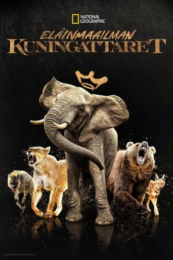 Eläinmaailman kuningattaret (2024)