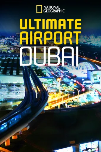 Dubain lentokenttä (2013)