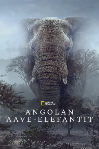 Angolan aave-elefantit (2026)