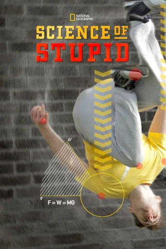 Typerät videot (2014)