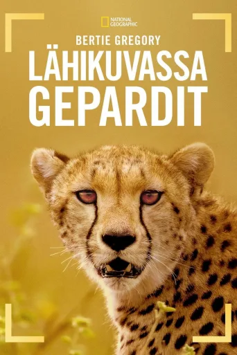 Bertie Gregory - lähikuvassa gepardit (2026)