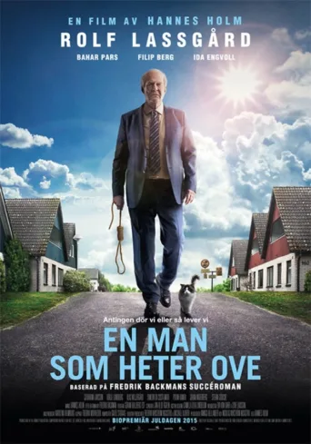Mies, joka rakasti järjestystä (2015)