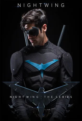 Nightwing: The Series (2014)