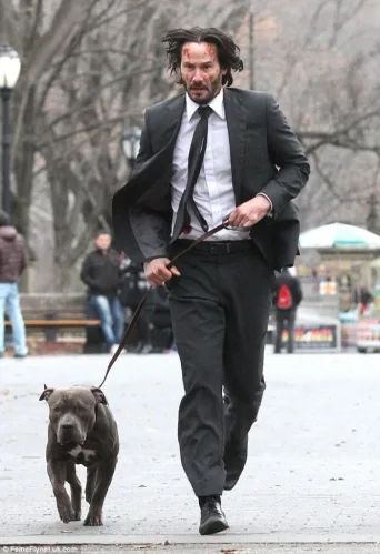 John Wick: Chapter 2 (2017)