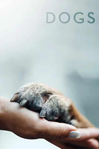 Koirat (2018)